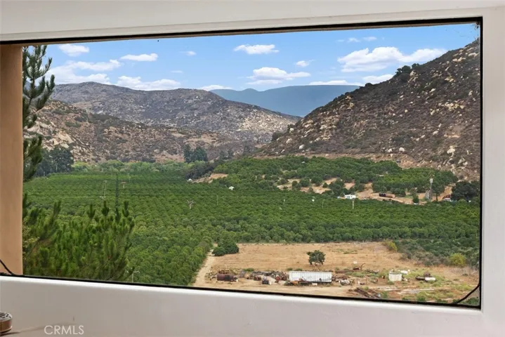 View from Kitchen