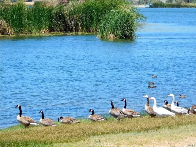 41060 Lakeshore Boulevard, Aguanga, California 92536