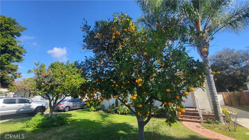 412 N Wayne Avenue, Fullerton, California 92833