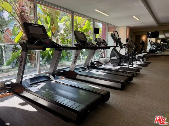 1234 Wilshire Boulevard 526, Los Angeles, California 90017
