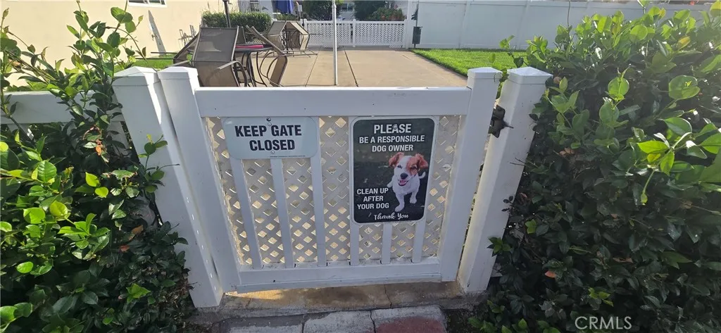 Dog friendly area for you