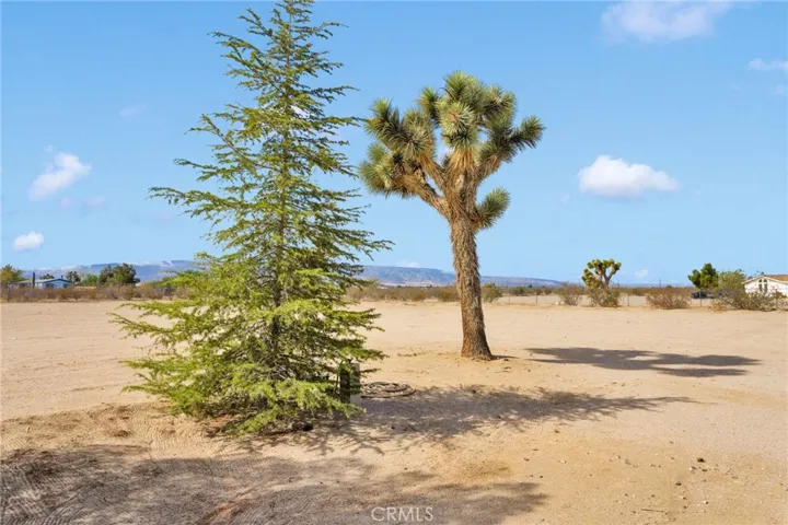 13528 Center Lane, Phelan, California 92371