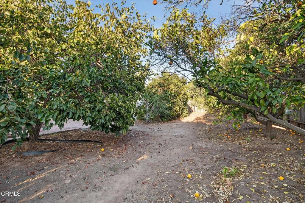 1182 Lake Avenue, Ojai, California 93023 home-pic-52