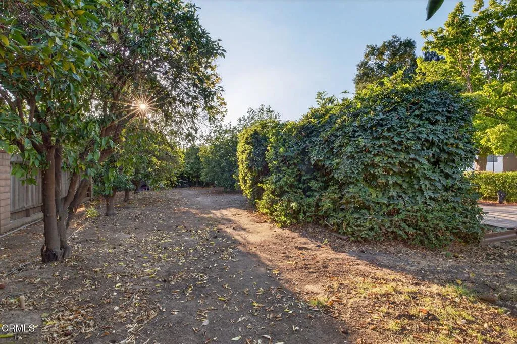 1182 Lake Avenue, Ojai, California 93023 home-pic-49