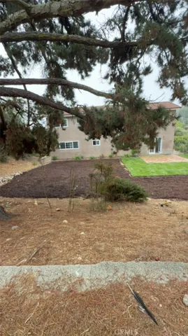View towards back of house and huge yard