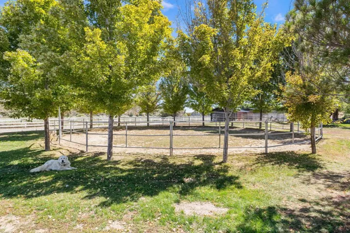 52-web-or-mls-AM4A3953