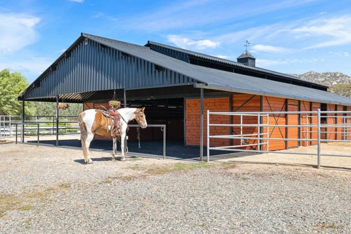 77-web-or-mls-AM4A3837