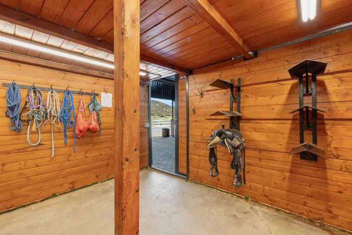 68-web-or-mls-AM4A3870