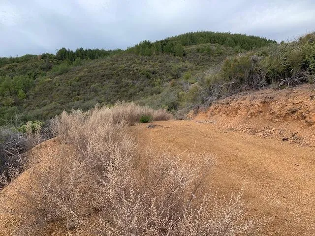 0 Croy, Morgan Hill, California 95037 — photo 4