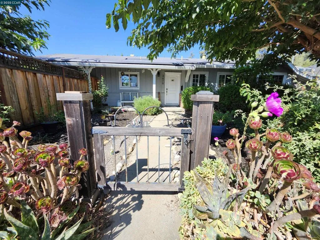 3479 Rose Ct, Concord, California 94519 home-pic-5