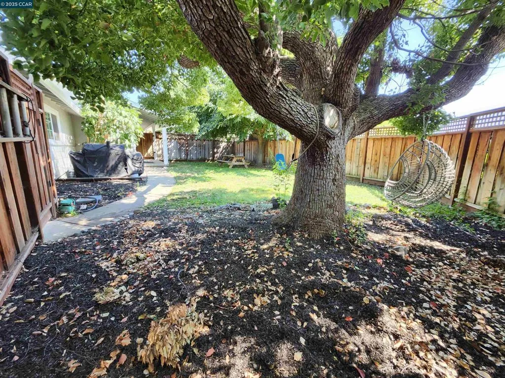 3479 Rose Ct, Concord, California 94519 home-pic-59
