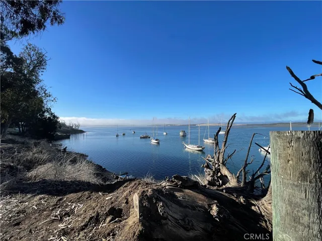 VIew of Morro Bay from Bayshore Bluffs park across the street