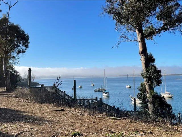 View of Morro Bay from Bayshore Bluffs park across the street