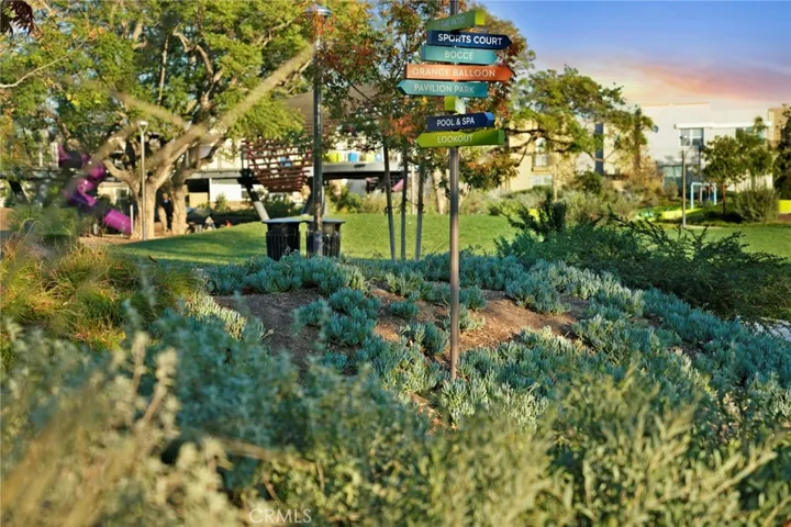 157 Novel, Irvine, California 92618
