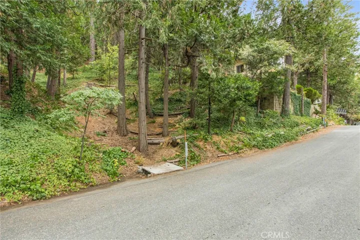 24293 Horst Drive, Crestline, California 92325