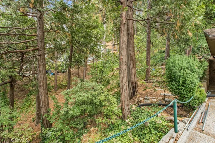 24293 Horst Drive, Crestline, California 92325