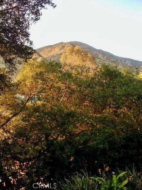 15 Vista Circle Circle, Sierra Madre, California 91024 home-pic-46