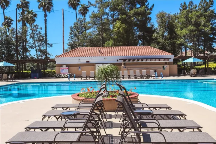 Pool and Spa
