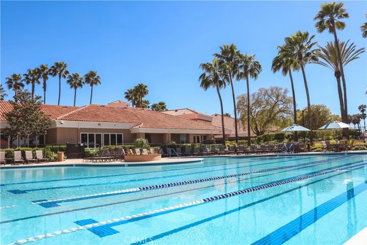 Swim Lanes