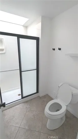 Primary Bath Shower/Toilet with Skylight