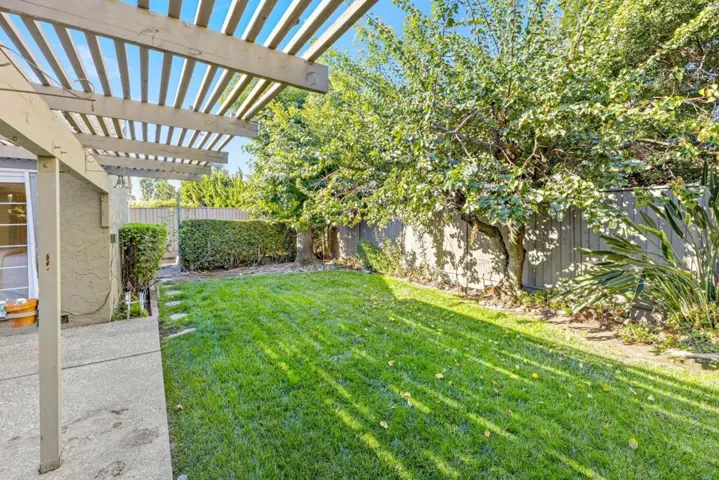 beautiful and serene backyard