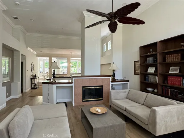 440 San Vicente, Anaheim Hills, California 92807
