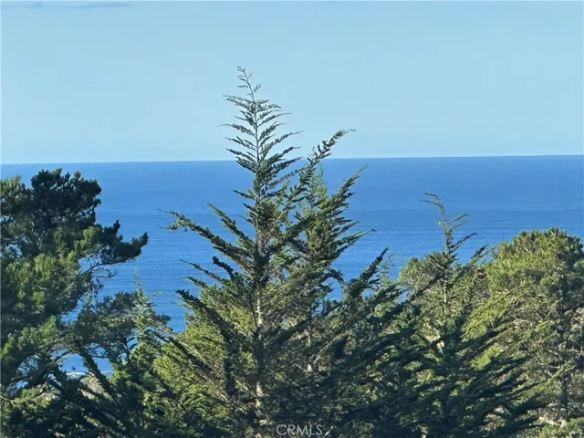 Distance Ocean View from Front Deck