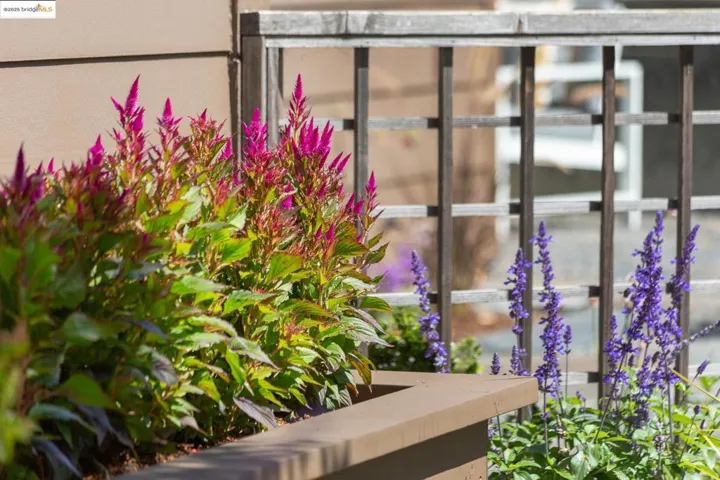 Garden detail