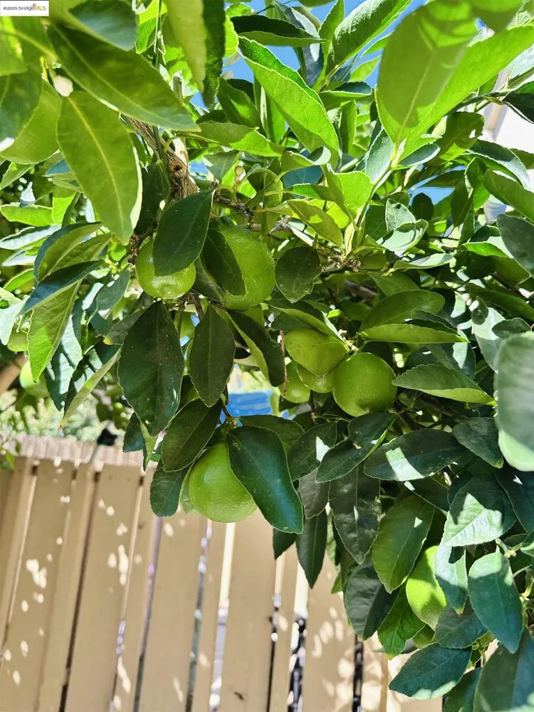 9005 Alcosta Blvd 189, San Ramon, California 94583 home-pic-18