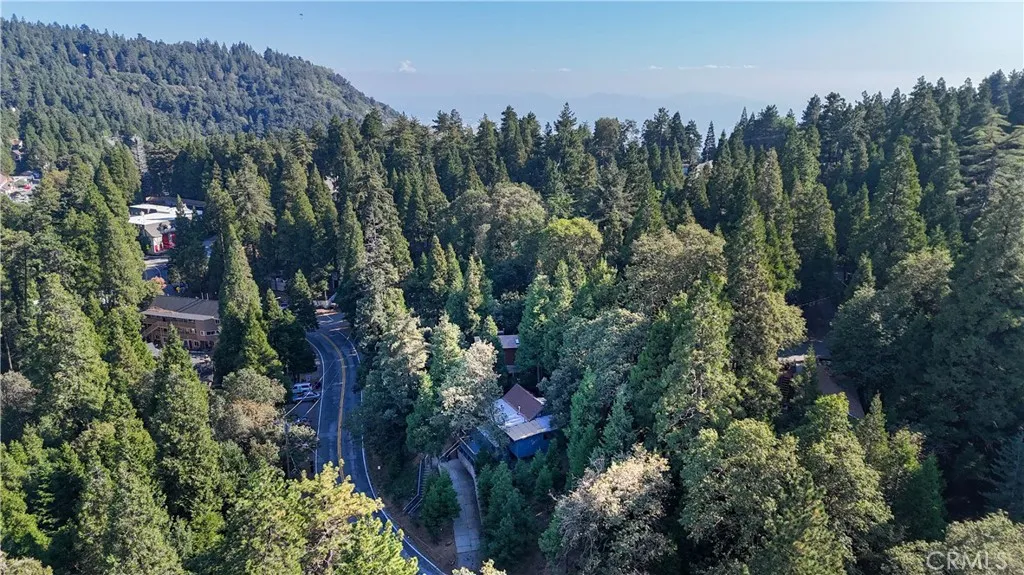 757 N Village Lane N, Crestline, California 92325 home-pic-42