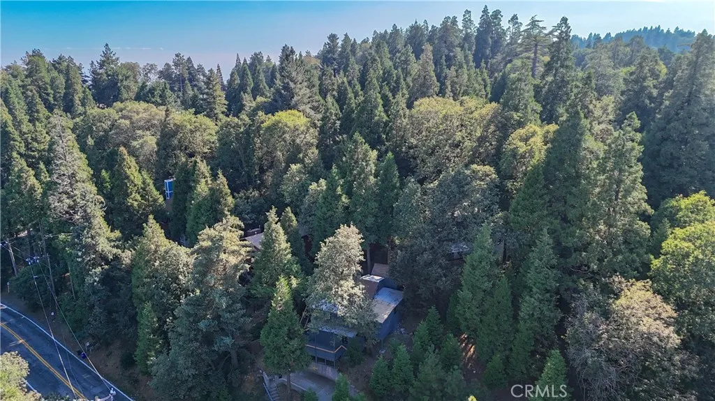 757 N Village Lane N, Crestline, California 92325 home-pic-40