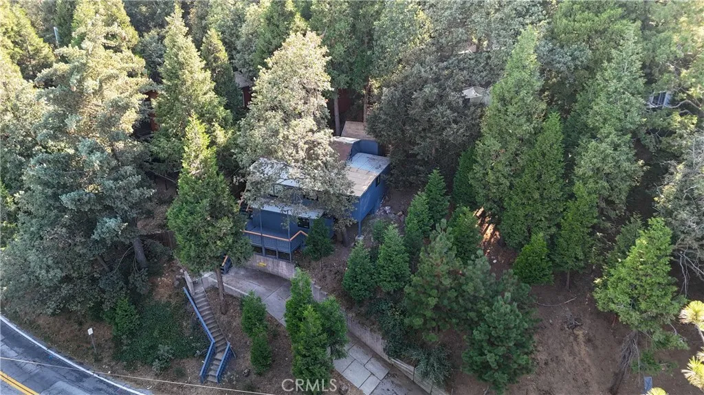 757 N Village Lane N, Crestline, California 92325 home-pic-38