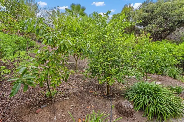 2946 Crystal Ridge Road, Encinitas, California 92024