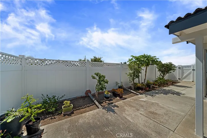 Backyard 4