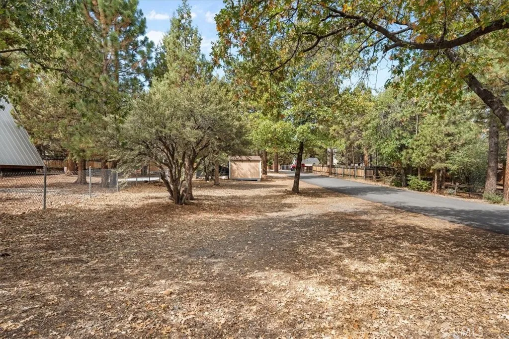 713 Los Angeles Avenue, Sugarloaf, California 92386 home-pic-29