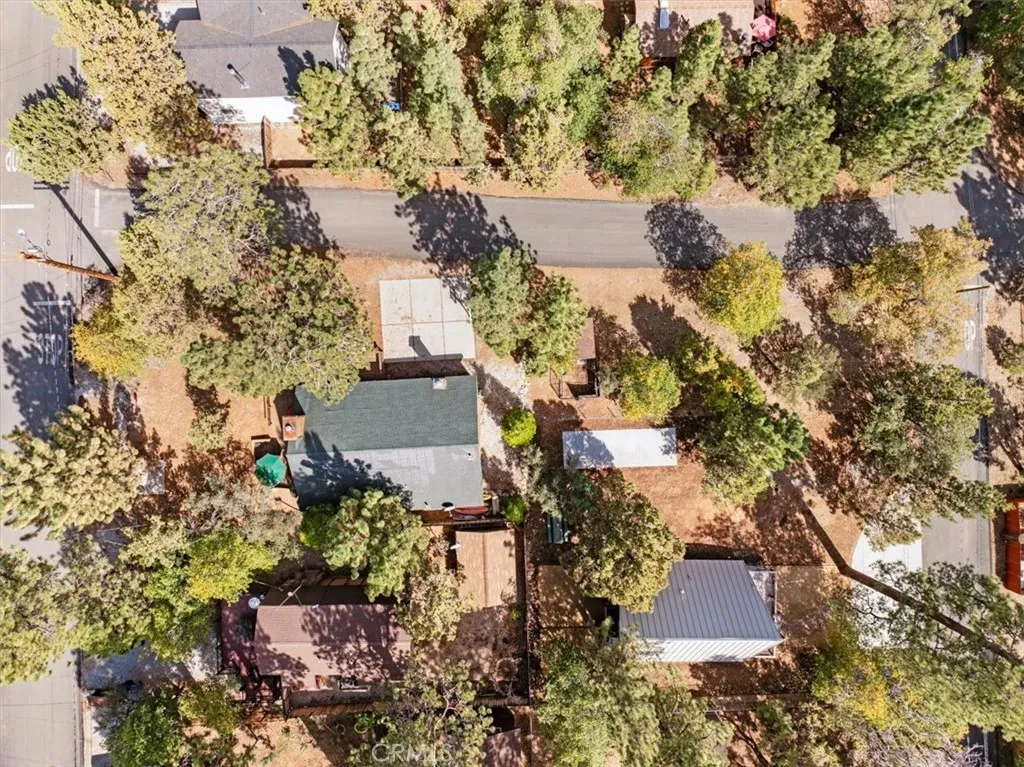 713 Los Angeles Avenue, Sugarloaf, California 92386 home-pic-35