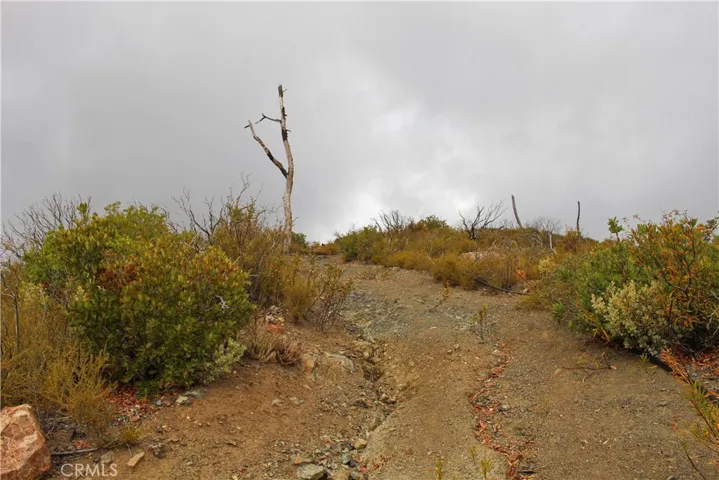 Road leading to top of property