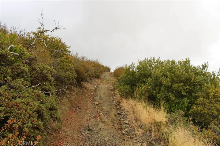Road leading to top of property