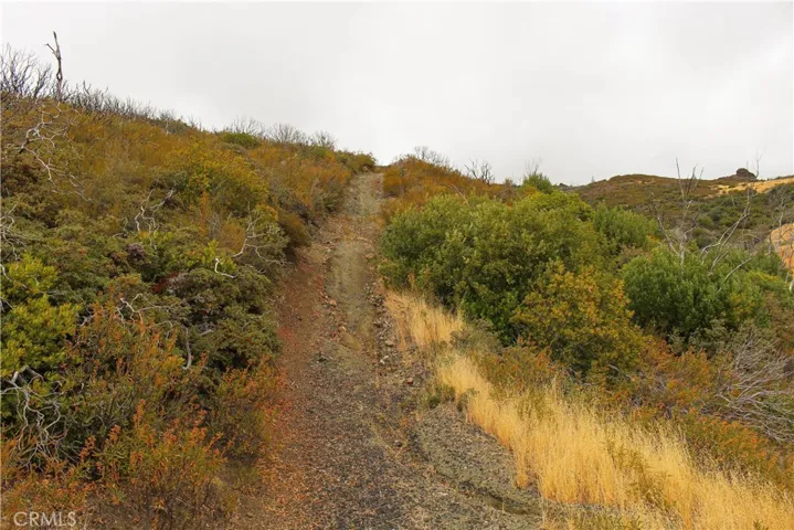 Road leading to top of property