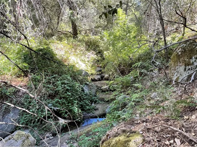 Pic of the Chowchilla Creek.