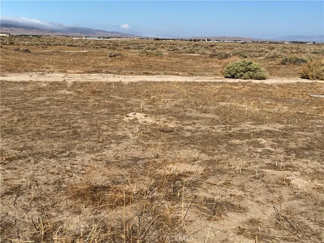 Looking West from property