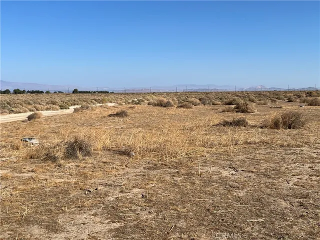 Looking North from property