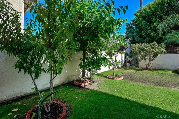 20450 Via Guadalupe, Yorba Linda, California 92887