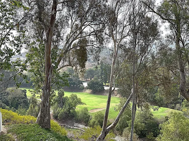 Just another look at the view