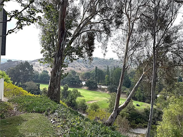 Golf course view from grass area.