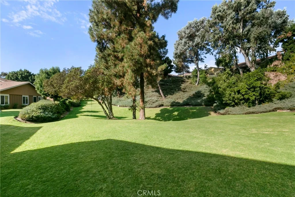 10472 Caminito Rimini, San Diego, California 92129 home-pic-26