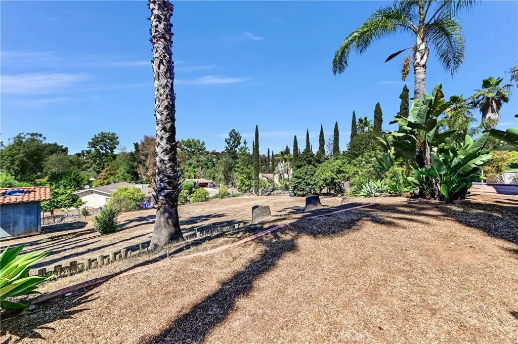 3523 Ryan Drive, Escondido, California 92025 home-pic-35