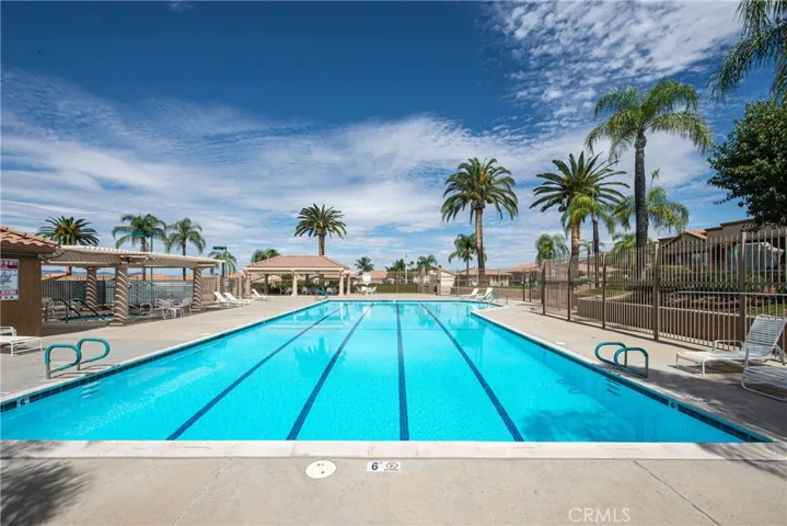 Tropical Pool and Spa