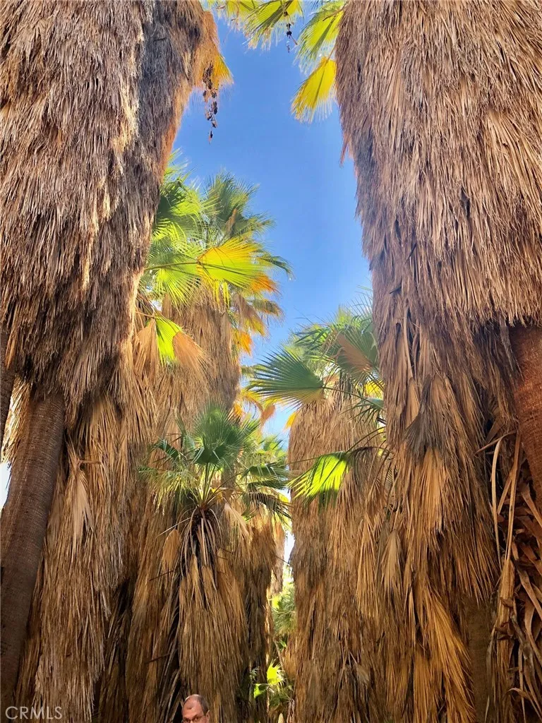300 S Patencio Road, Palm Springs, California 92262 home-pic-48