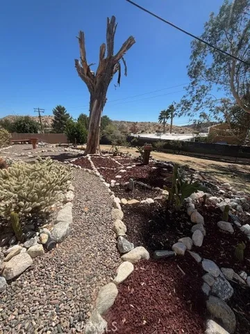 Landscaped yard